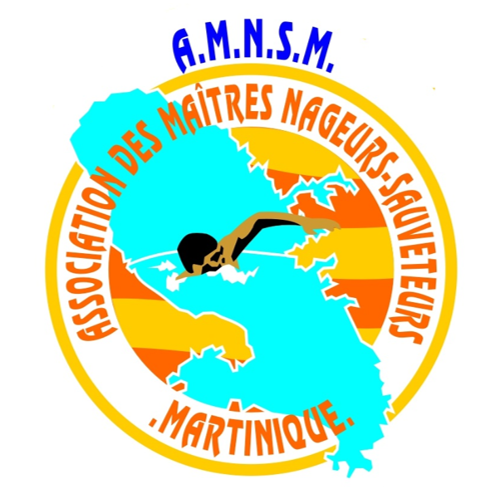 Logo AMNSM